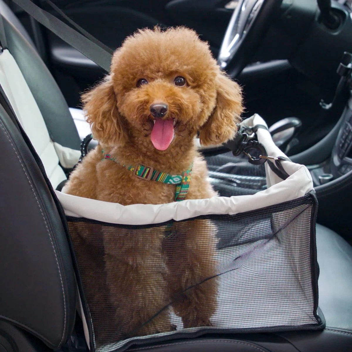 Ardermu Autostoel Voor Honden,Stabiel Versterkt Hondenautostoeltje,Kleine En Middelgrote Honden,Waterdichte En Ademende Voertuig Puppy Carrier 40*33*24cm(Grijs) 1 Ardermu Autostoel Voor Honden,Stabiel Versterkt Hondenautostoeltje,Kleine En Middelgrote Honden,Waterdichte En Ademende Voertuig Puppy Carrier 40*33*24cm(Grijs)