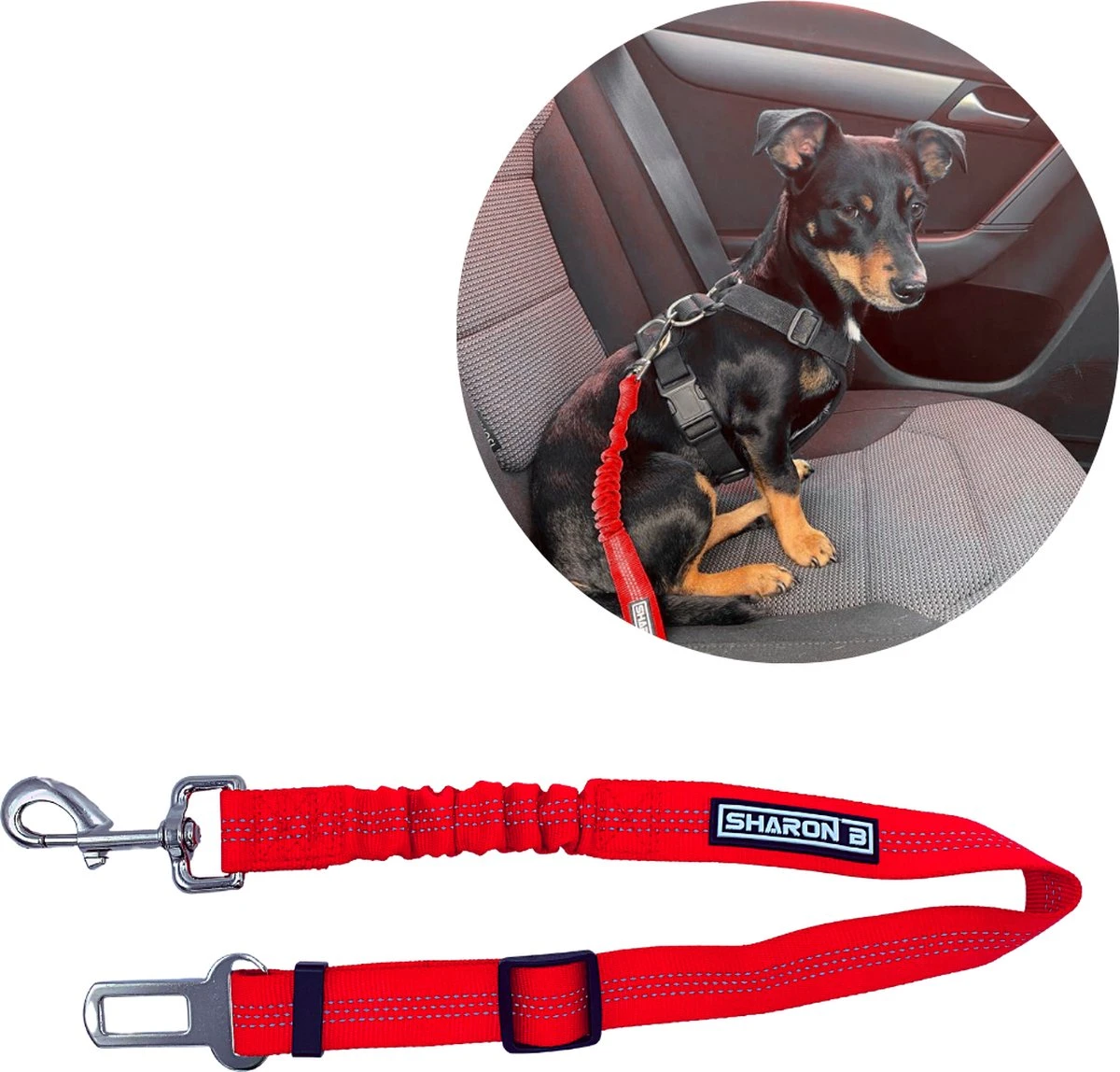 Autogordel Voor Honden – Rood – Voor Optimale Veiligheid Onderweg Voor Hond En Baasje – Schok Absorberend – Hondengordel – Voor Alle Honden – Bestand Tegen Grote Krachten – Geschikt Voor Bijna Alle Auto’s 1 Autogordel Voor Honden – Rood – Voor Optimale Veiligheid Onderweg Voor Hond En Baasje – Schok Absorberend – Hondengordel – Voor Alle Honden – Bestand Tegen Grote Krachten – Geschikt Voor Bijna Alle Auto’s