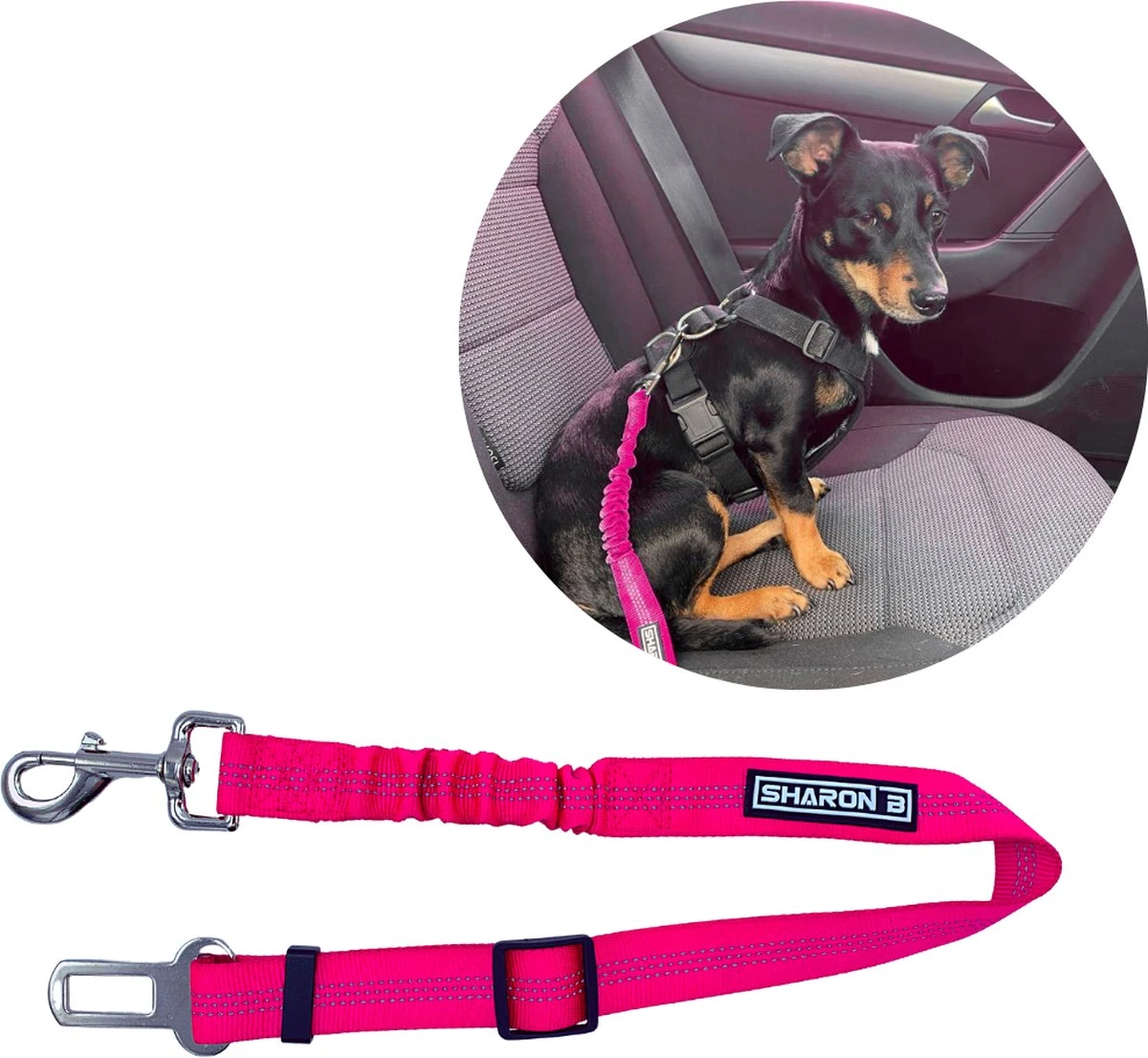 Autogordel Voor Honden – Roze – Voor Optimale Veiligheid Onderweg Voor Hond En Baasje – Schok Absorberend – Hondengordel – Voor Alle Honden – Bestand Tegen Grote Krachten – Geschikt Voor Bijna Alle Auto’s 1 Autogordel Voor Honden – Roze – Voor Optimale Veiligheid Onderweg Voor Hond En Baasje – Schok Absorberend – Hondengordel – Voor Alle Honden – Bestand Tegen Grote Krachten – Geschikt Voor Bijna Alle Auto’s