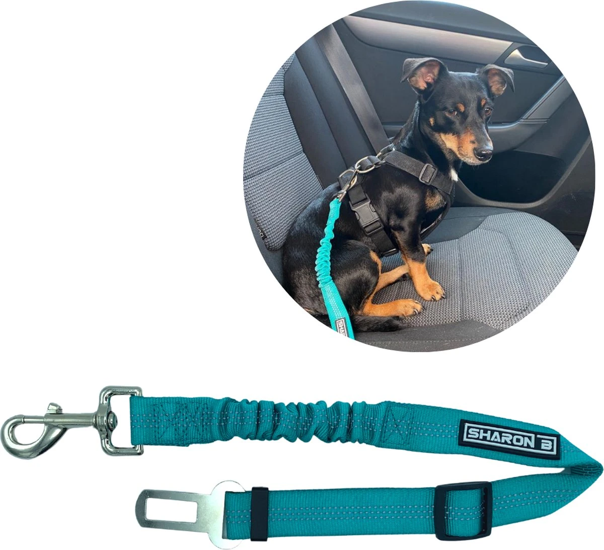 Autogordel Voor Honden – Turquoise – Voor Optimale Veiligheid Onderweg Voor Hond En Baasje – Schok Absorberend – Hondengordel – Voor Alle Honden – Bestand Tegen Grote Krachten – Geschikt Voor Bijna Alle Auto’s 1 Autogordel Voor Honden – Turquoise – Voor Optimale Veiligheid Onderweg Voor Hond En Baasje – Schok Absorberend – Hondengordel – Voor Alle Honden – Bestand Tegen Grote Krachten – Geschikt Voor Bijna Alle Auto’s