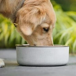 BeOneBreed Betonnen Voerbak Met RVS Kom – Antislip Basis – Grijs – Maat S/M/L – 350 Ml, 700 Ml Of 1400 Ml – Large