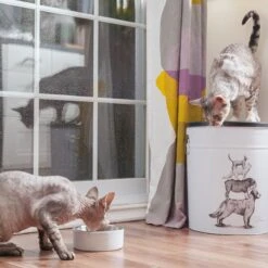 BeOneBreed Betonnen Voerbak Met RVS Kom – Antislip Basis – Grijs – Maat S/M/L – 350 Ml, 700 Ml Of 1400 Ml – Small