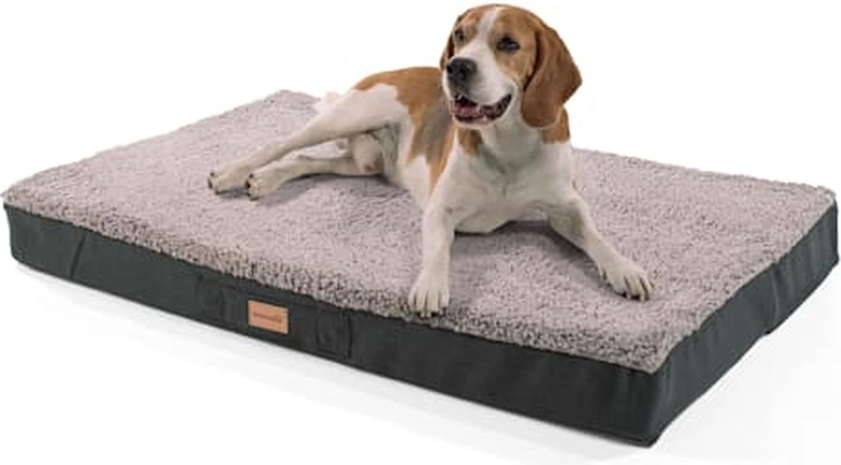 Brunolie Balu – Hondenbed – Hondenkussen – Wasbaar – Orthopedisch – Anti-slip – Ademend – Traagschuim 1 Brunolie Balu – Hondenbed – Hondenkussen – Wasbaar – Orthopedisch – Anti-slip – Ademend – Traagschuim