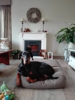 Dog’s Companion – Hondenkussen / Hondenbed Taupe Katoen Extra Small – XS – 55x45cm