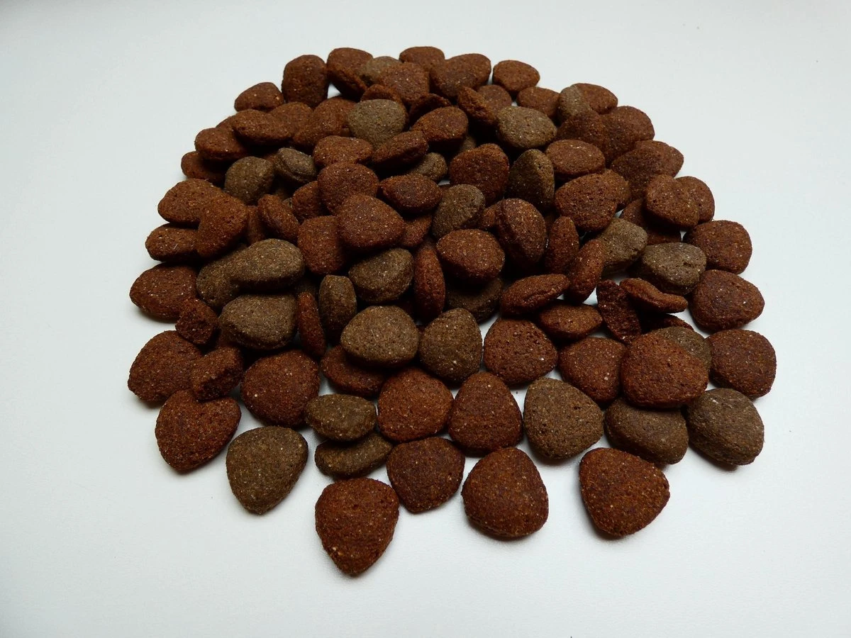 Dogs Delicious Hondenbrokken Hypoallergeen Super Premium Senioren Lam En Rijst 20 Kg 1 Dogs Delicious Hondenbrokken Hypoallergeen Super Premium Senioren Lam En Rijst 20 Kg