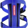 EzyDog Chest Plate Hondentuig Met Autogordel Zekering – Honden Harnas – XS – Blauw