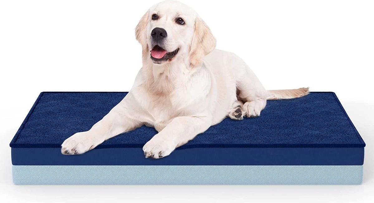 Flightmode – UTTU Hondenbed Voor Kleine Honden, Zacht Kussen Met Wasbare Overtrek, Orthopedisch, Waterdicht Matras Voor Extra Ondersteuning (M) 1 Flightmode – UTTU Hondenbed Voor Kleine Honden, Zacht Kussen Met Wasbare Overtrek, Orthopedisch, Waterdicht Matras Voor Extra Ondersteuning (M)