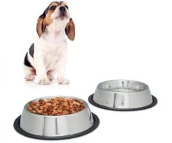 Relaxdays Dinerset Hond – Voer- En Drinkbak – Rvs Voerbak – Antislip Hondenvoerbak Zilver – M