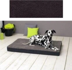 Sun Garden Buddy Orthopedisch Hondenkussen 140x100x10cm Antraciet