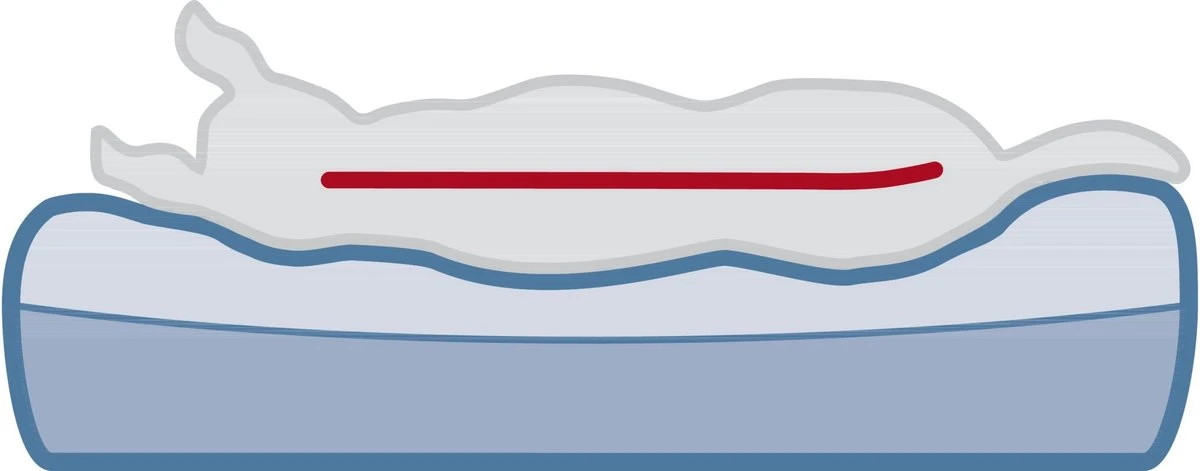 TRIXIE Hondenmatras Orthopedisch Bendson Vital 100x65x8-10 Cm 1 TRIXIE Hondenmatras Orthopedisch Bendson Vital 100x65x8-10 Cm