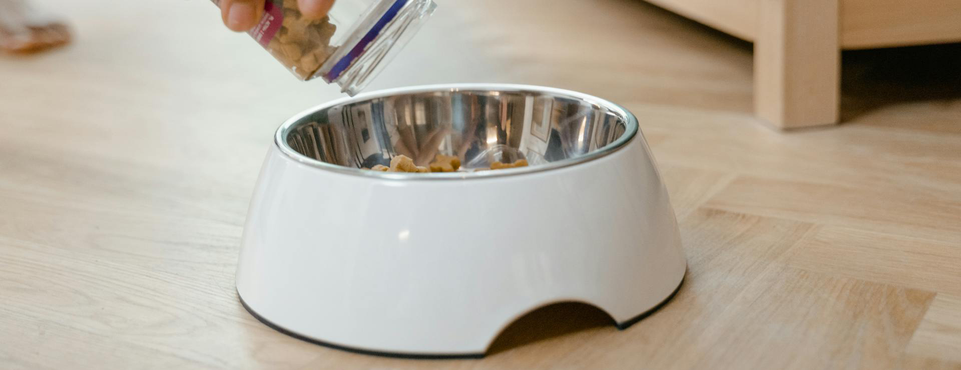 Honden Benodigdheden 4 Honden Benodigdheden -Honden Benodigdheden pexels mart production 8434769